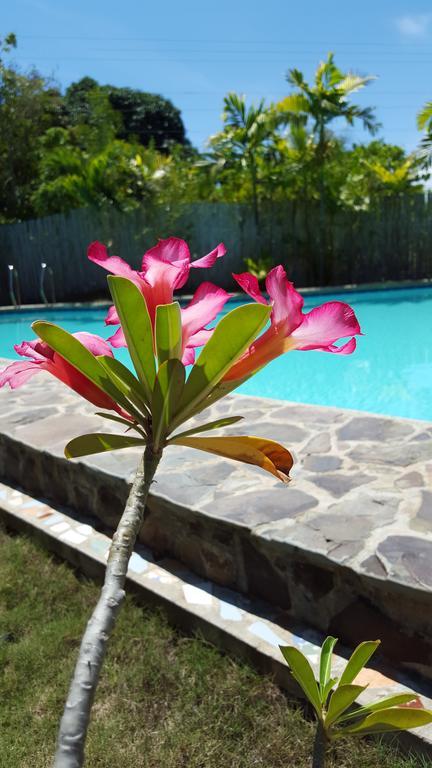 Villa Formosa Bohol Luaran gambar